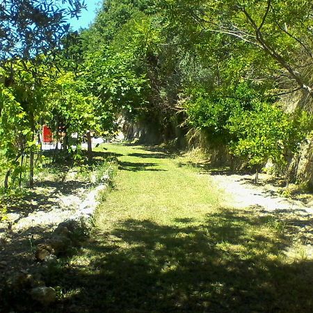 The Country Path B&B Toffia المظهر الخارجي الصورة