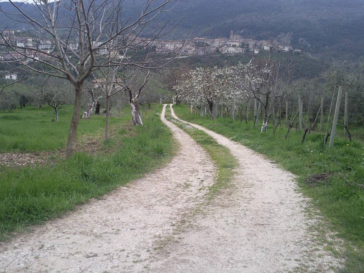 The Country Path B&B Toffia المظهر الخارجي الصورة