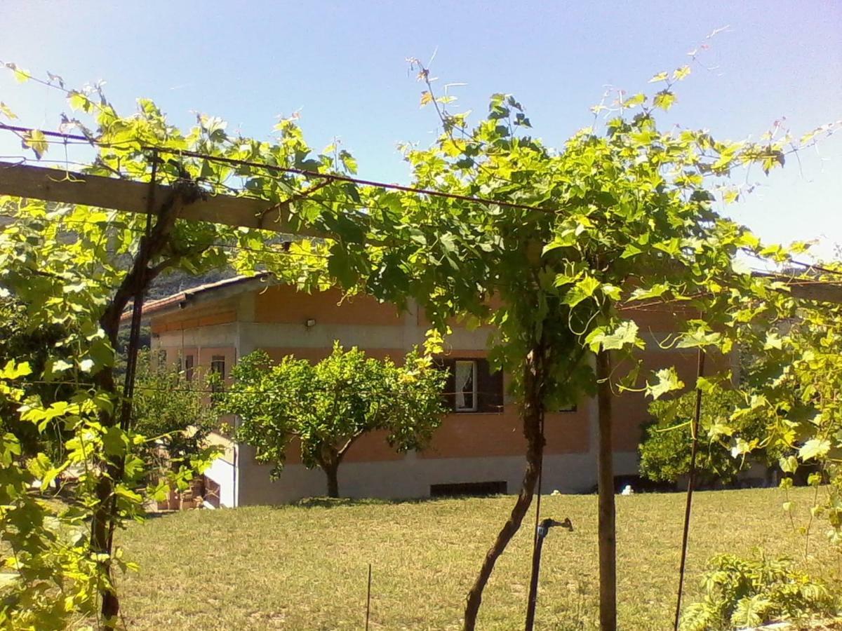 The Country Path B&B Toffia المظهر الخارجي الصورة