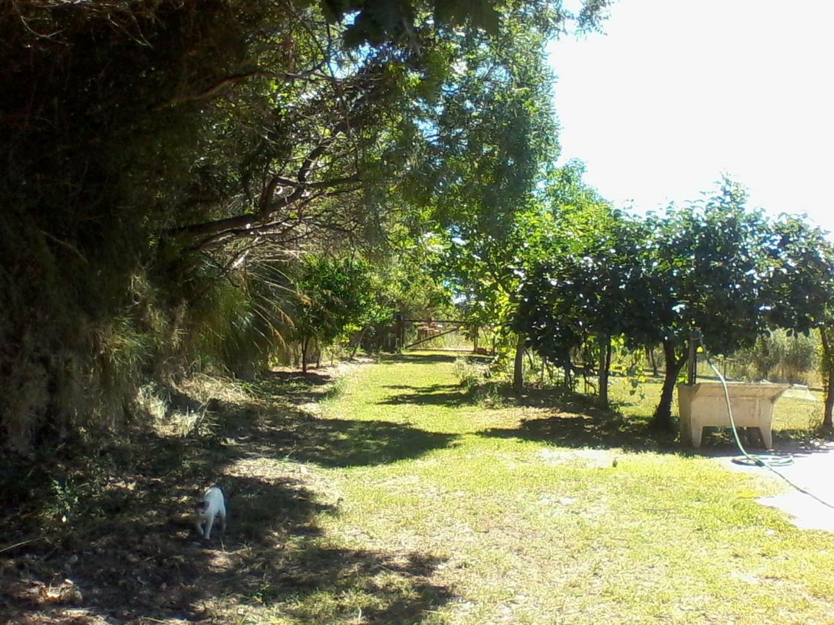 The Country Path B&B Toffia المظهر الخارجي الصورة